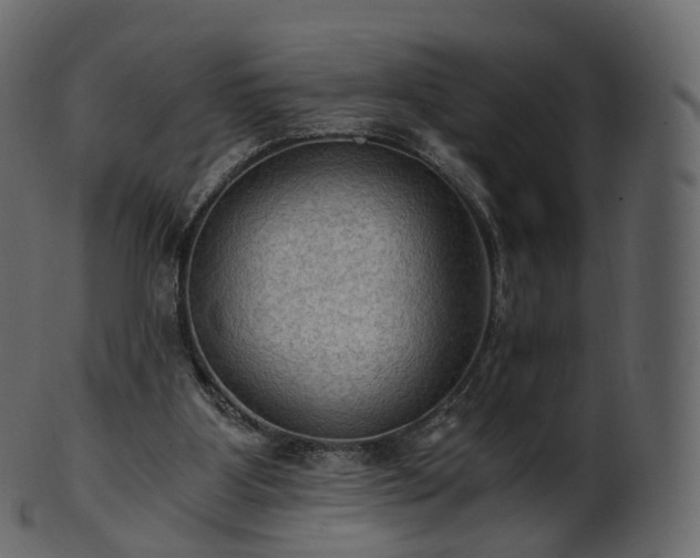 X0000101120107200807031813