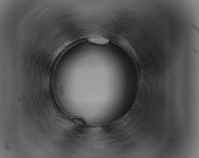 X0000101120108200807031813