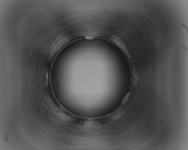 X0000101120109200807031813