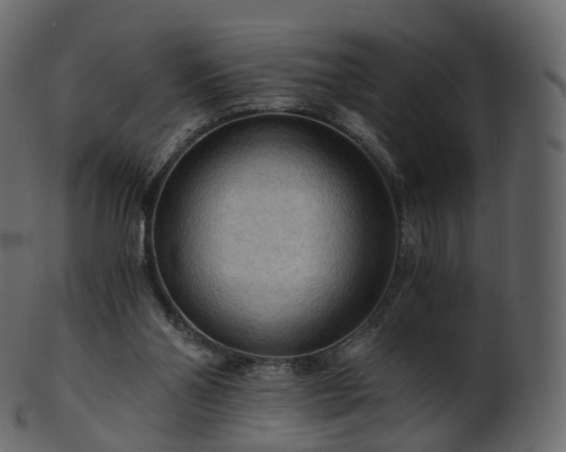 X0000101120110200807031813