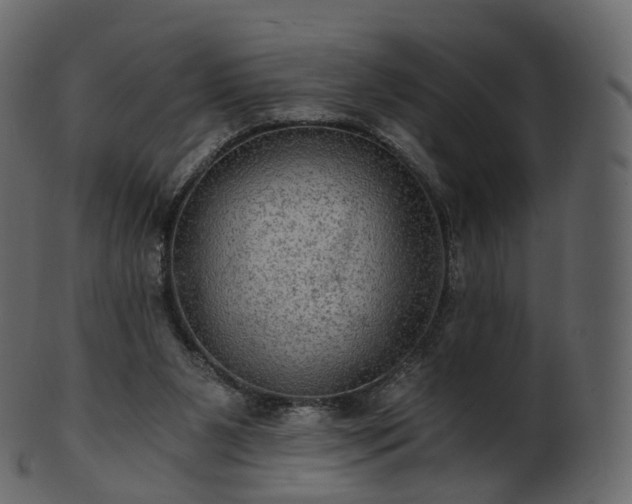 X0000101120111200807031813