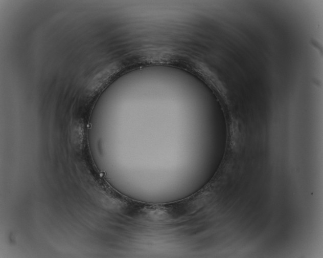 X0000101120113200807031813