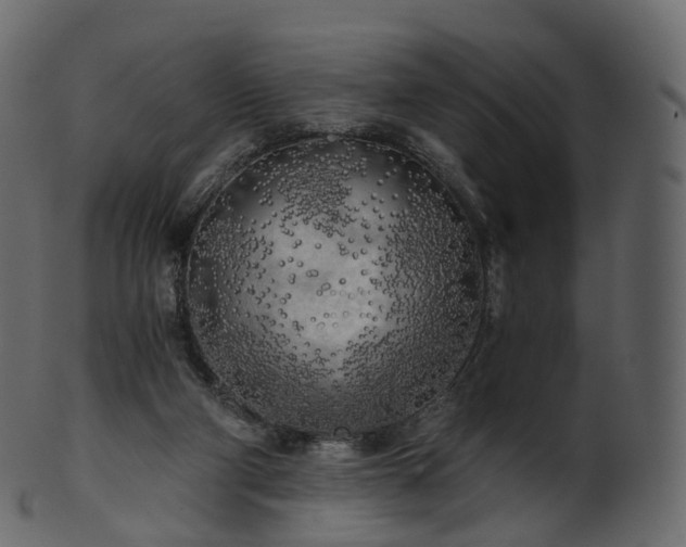 X0000101120114200807031813