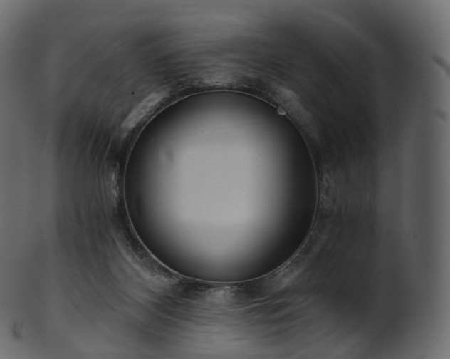 X0000101120116200807031813