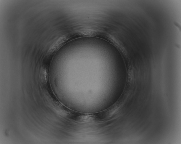 X0000101120117200807031813