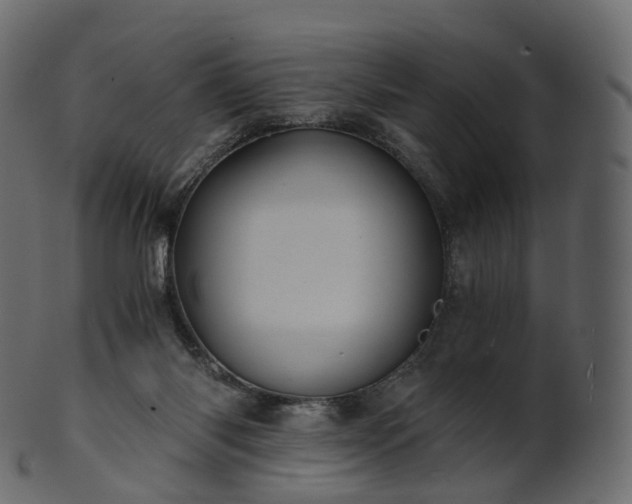 X0000101120118200807031813