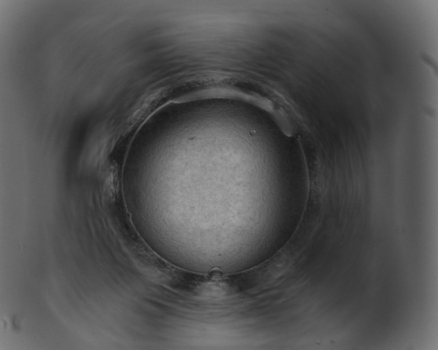 X0000101120119200807031813