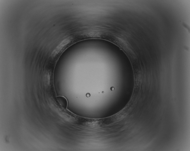 X0000101120120200807031813