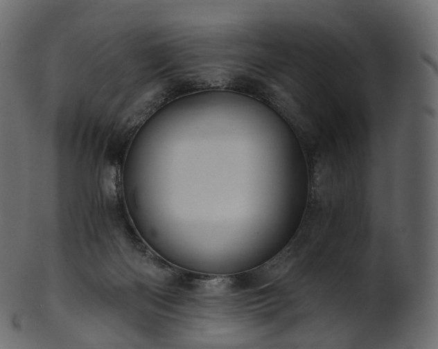 X0000101120122200807031812