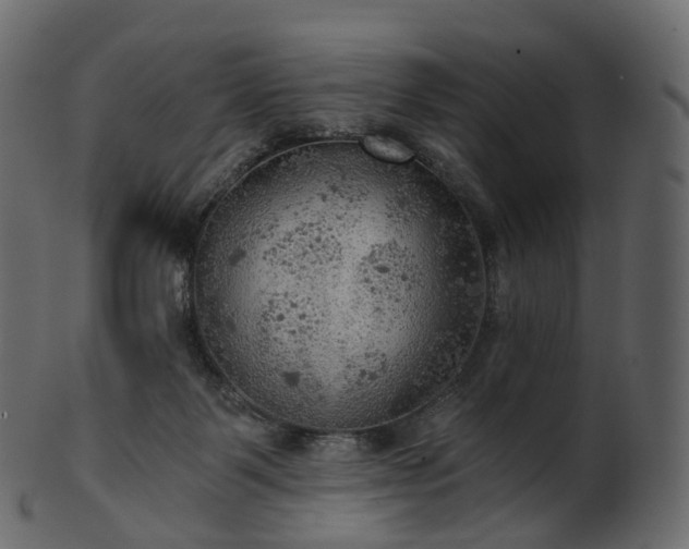 X0000101120123200807031812