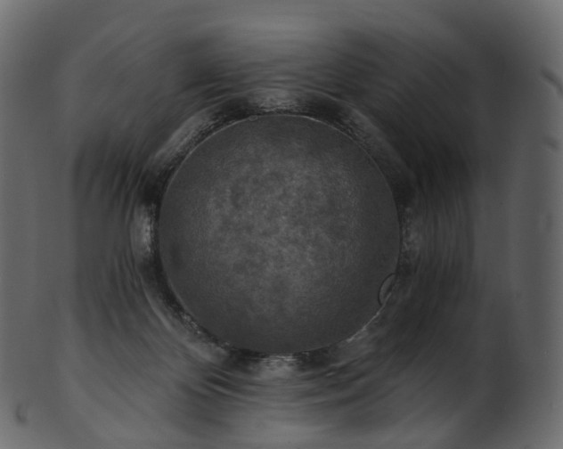 X0000101120124200807031812