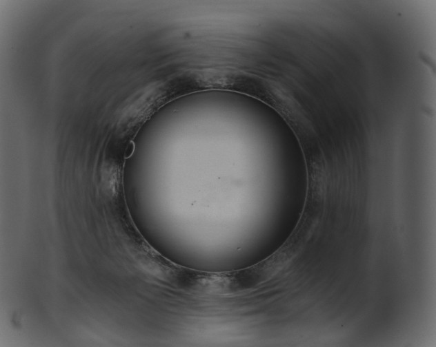 X0000101120125200807031812
