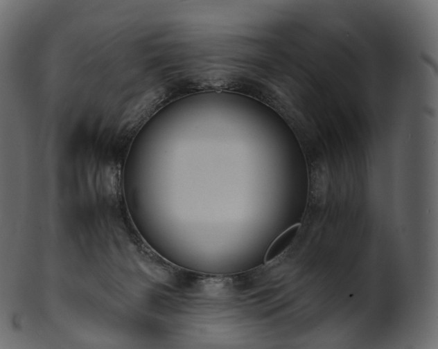 X0000101120126200807031812