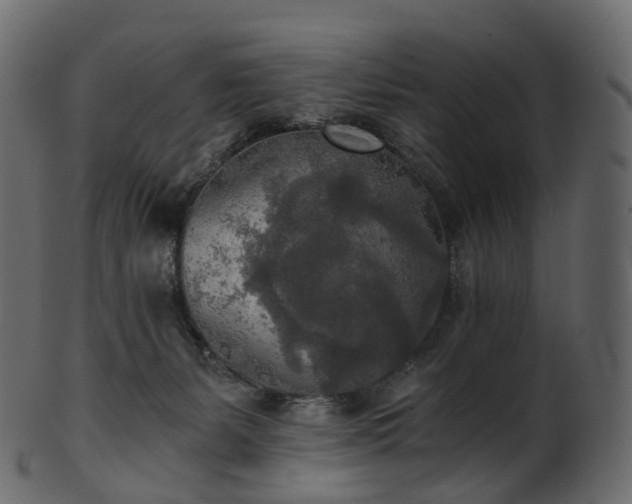 X0000101120127200807031812