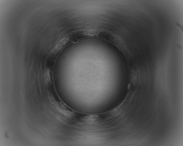 X0000101120128200807031812