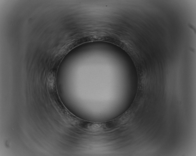 X0000101120129200807031812
