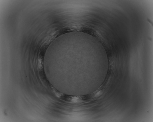 X0000101120130200807031812