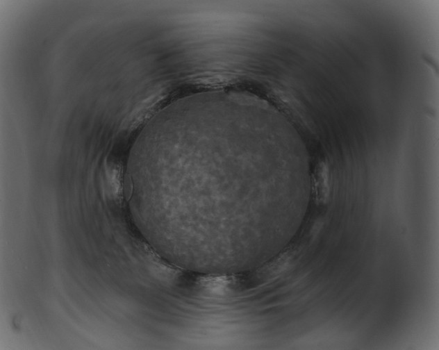 X0000101120131200807031812