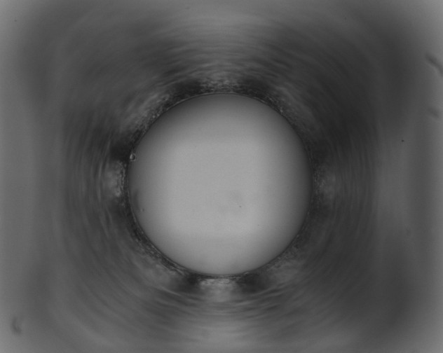 X0000101120133200807031812
