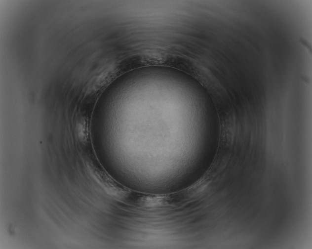 X0000101120134200807031812