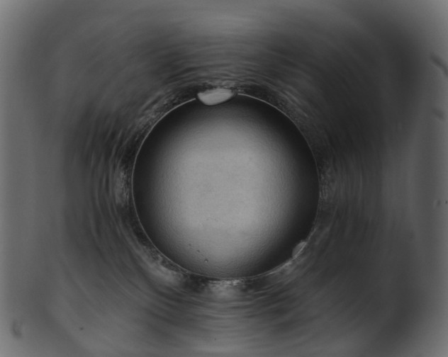 X0000101120136200807031812