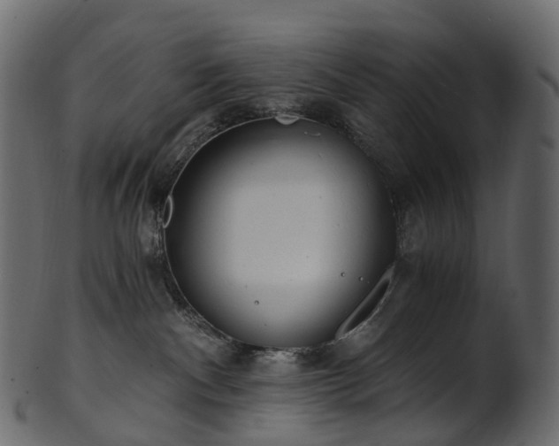 X0000101120140200807031812