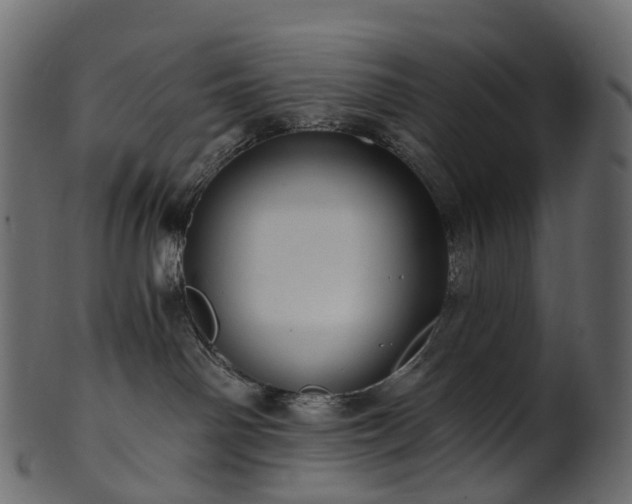 X0000101120142200807031812