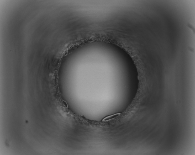 X0000101120144200807031812