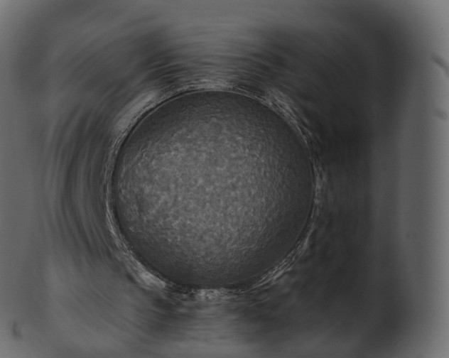 X0000101120145200807031811