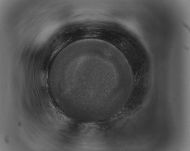 X0000101120146200807031811
