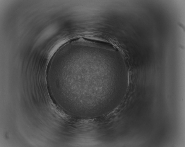 X0000101120147200807031811