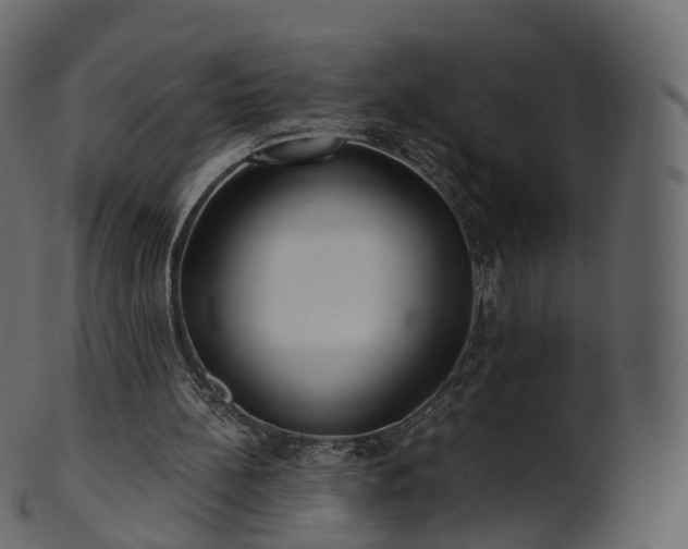 X0000101120148200807031811