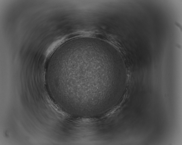 X0000101120149200807031811