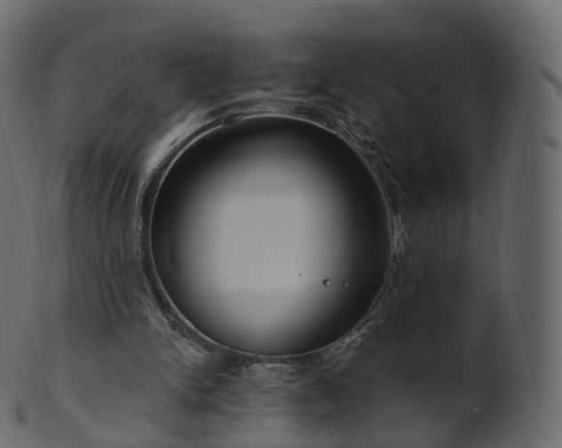X0000101120150200807031811