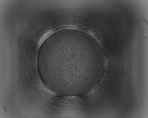 X0000101120151200807031811