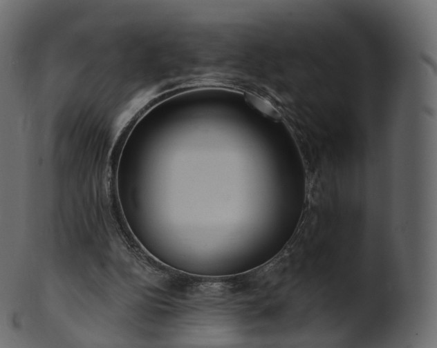 X0000101120152200807031811