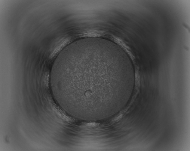 X0000101120153200807031811
