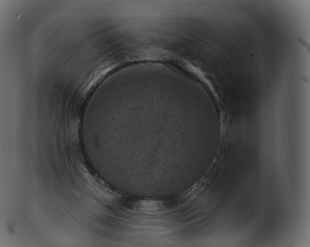 X0000101120154200807031811