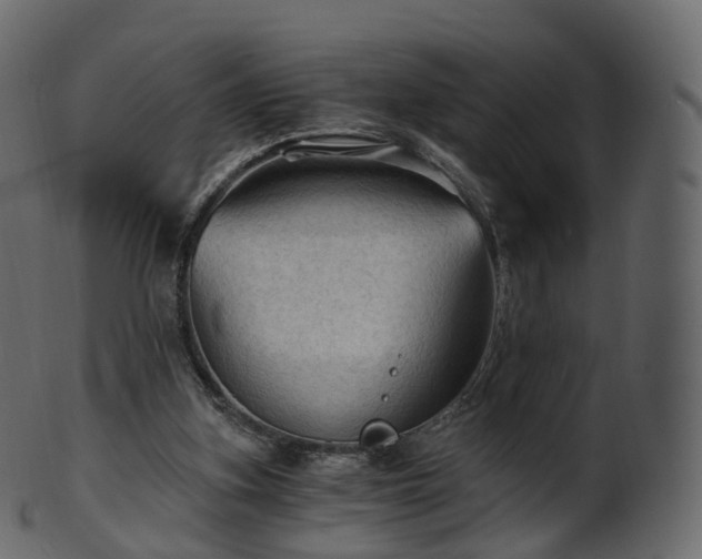 X0000101120155200807031811
