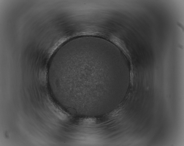 X0000101120156200807031811