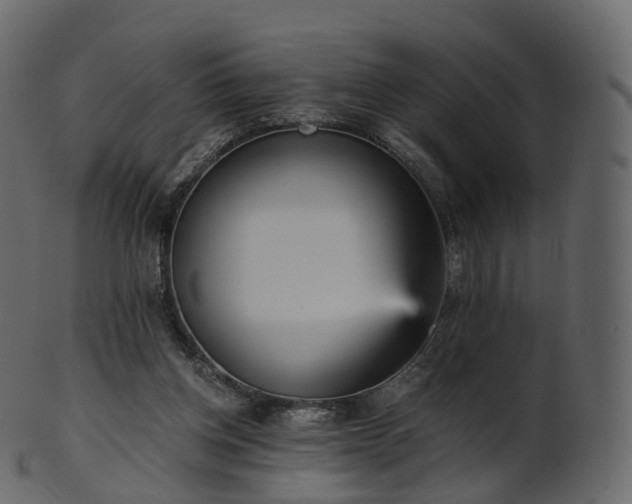 X0000101120158200807031811