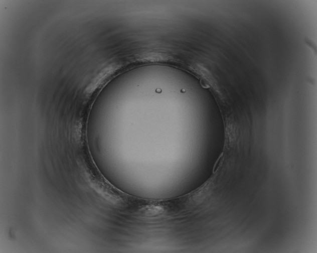 X0000101120159200807031811