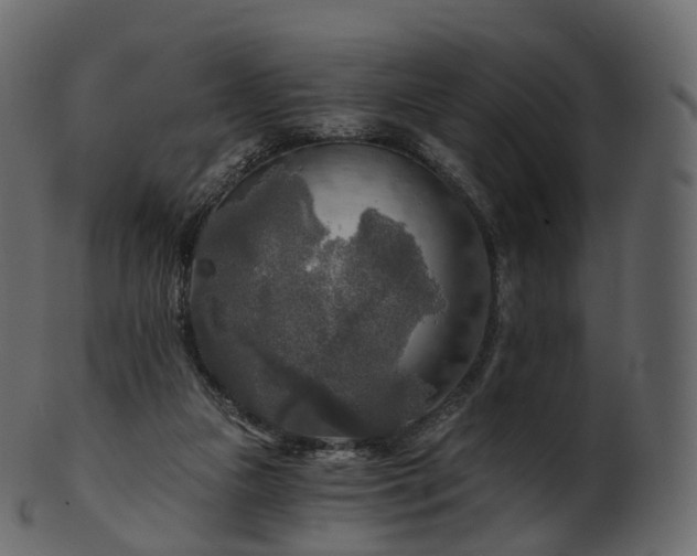 X0000101120161200807031812