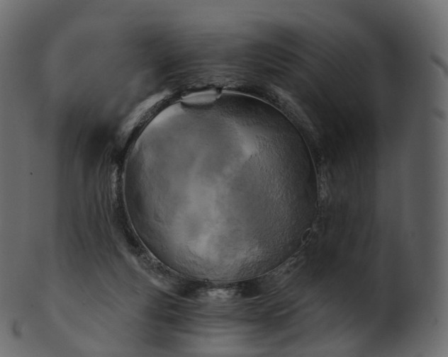 X0000101120163200807031812