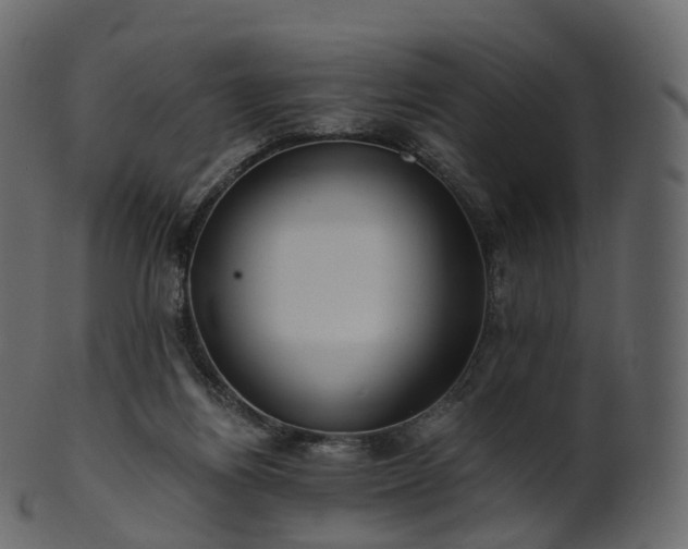 X0000101120164200807031812