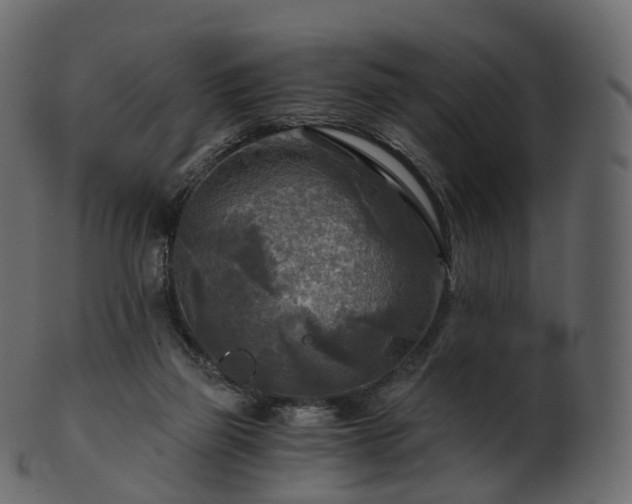 X0000101120165200807031812
