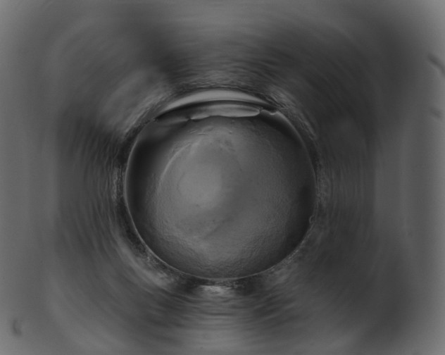 X0000101120167200807031812