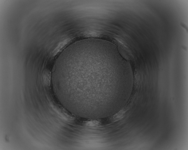 X0000101120168200807031812