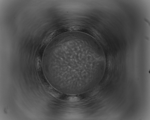X0000101120169200807031812