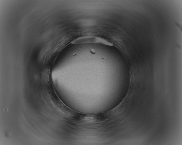 X0000101120171200807031812